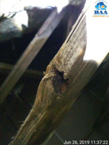 Broken rafter in attic