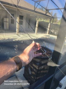 Close-up of torn or damaged pool enclosure screen.