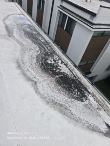 Standing water observed on a flat or low-slope roof during a final new-construction inspection in Central Florida, indicating potential drainage or slope deficiencies.